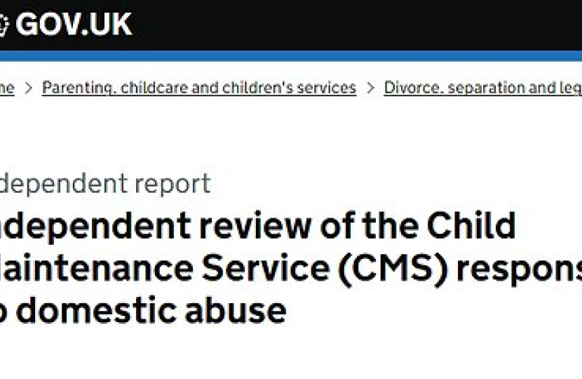 CMS Response